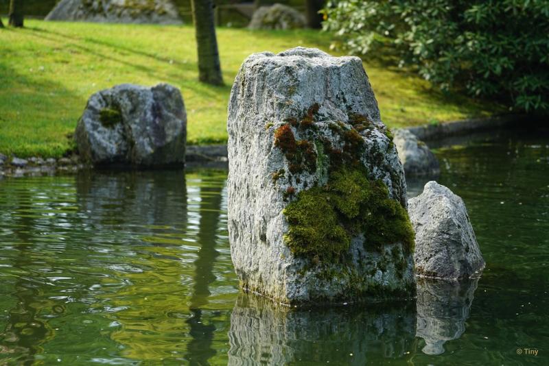 bdFoto 6.JPG - Japanse tuinen